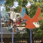 50 doves for the Cyprus Democracy